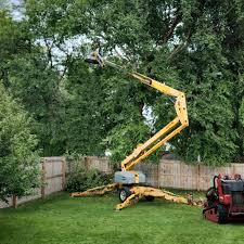 Best Hedge Trimming  in Steelton, PA